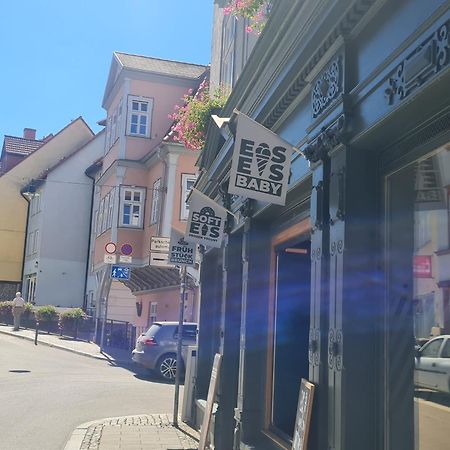 Pension Am Dom Ерфурт Екстер'єр фото
